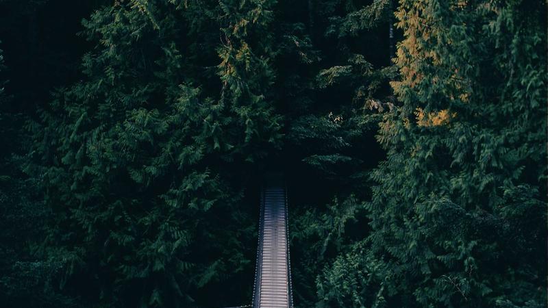 Show Up ってどういう意味？ • 目立つ・はっきり見える • Nonstop English